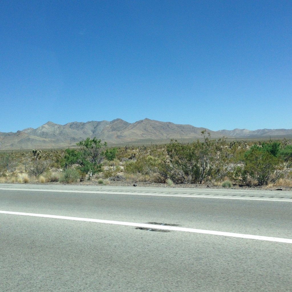 Mojave Desert