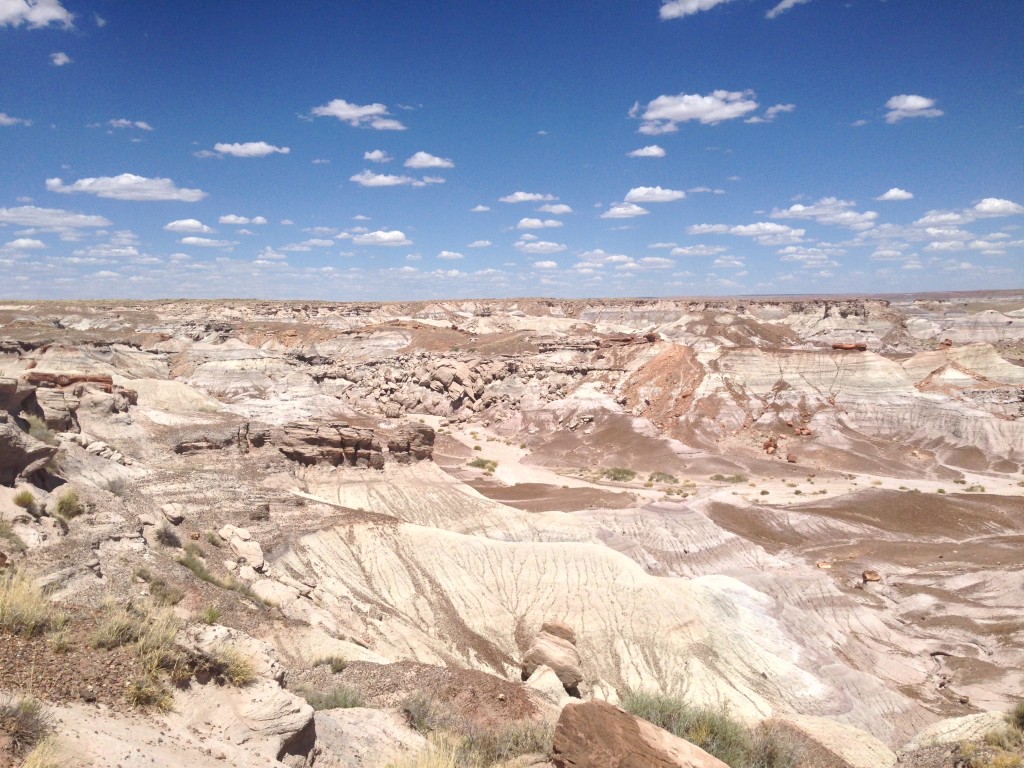 Petrified Forest