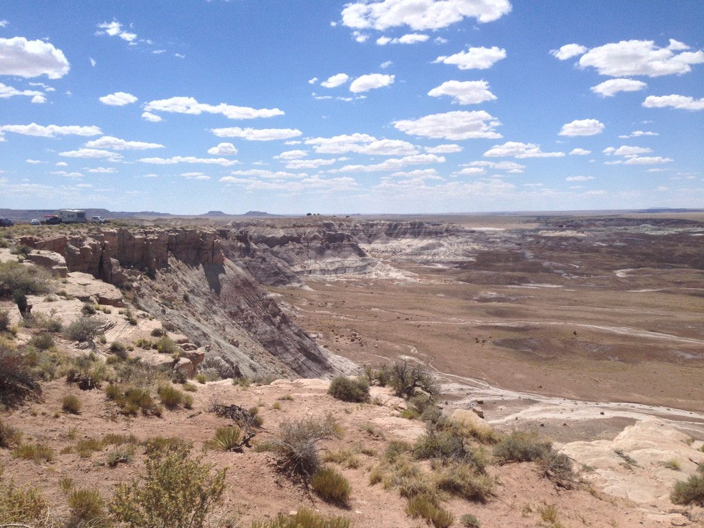 Petrified Forest