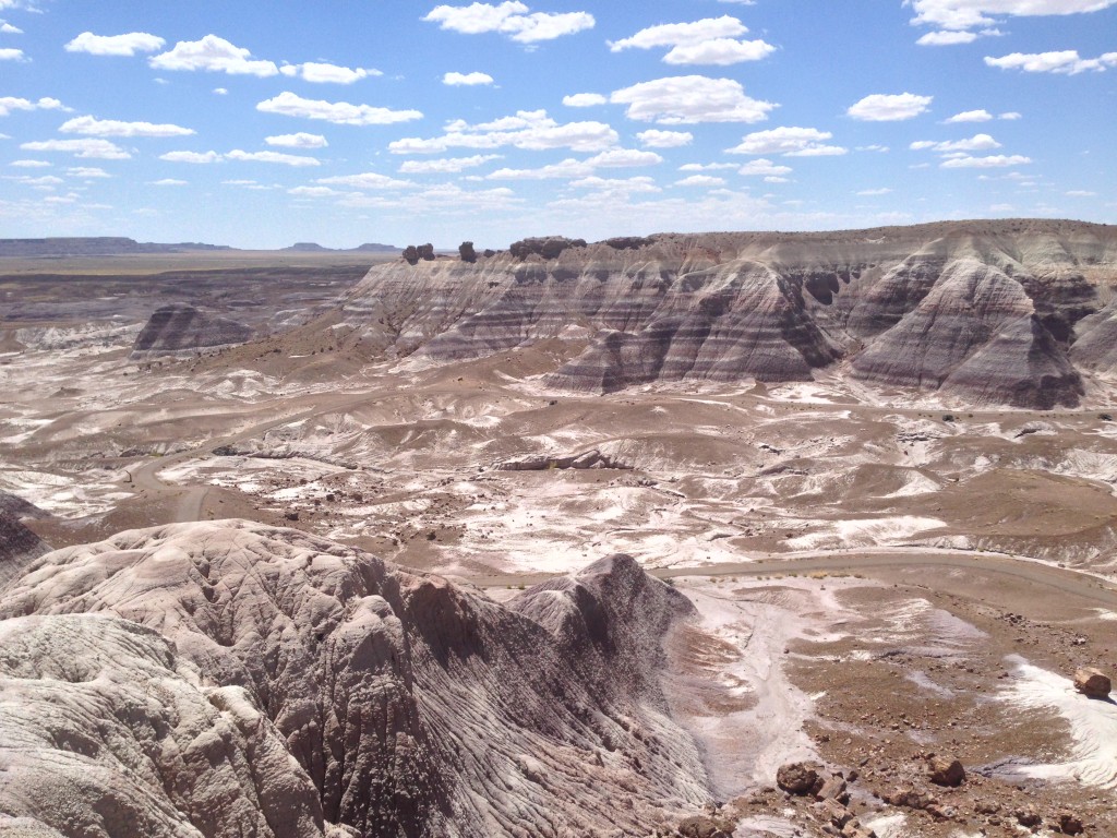 Petrified Forest