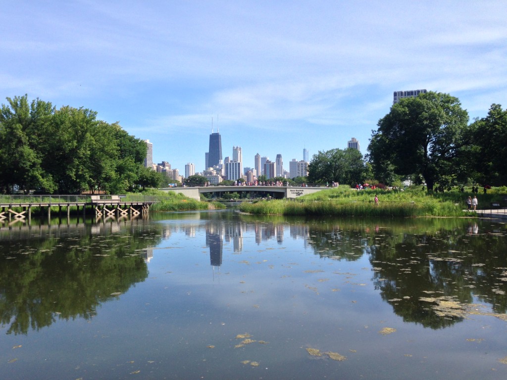 View from Lincoln Park Zoo